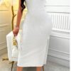 Zolique Solid Color Deep Neck Fitted Dress