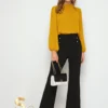 SHEIN Clasi Frilled Neck Bishop Sleeve Blouse