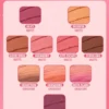 1751512184aa06d192e15987ad3307657a59344658 SHEGLAM Divine Flush Matte Blush-High & Dry Blush Powder