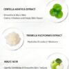 SHEGLAM Camera On Smooth & Blur Primer