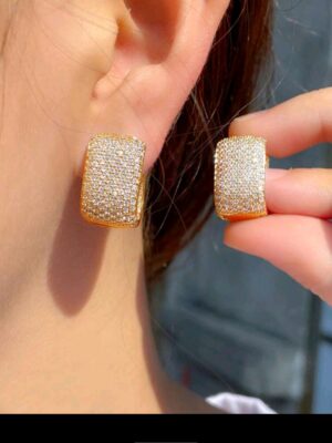XRecorder_20260701_10 Earrings