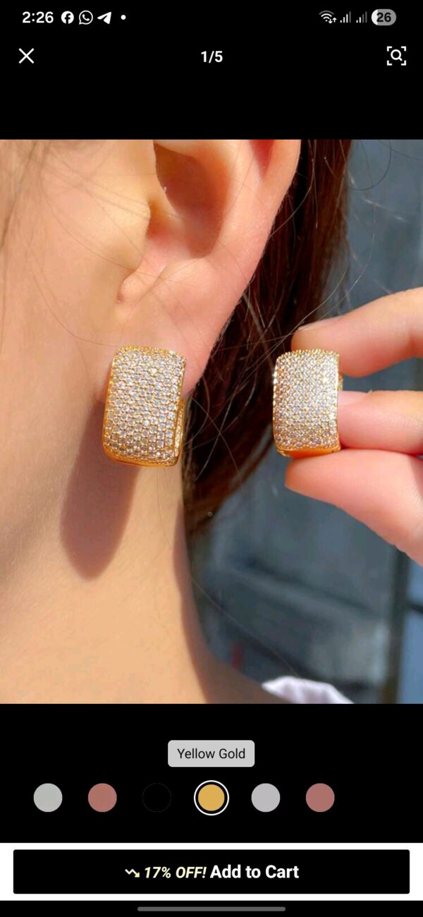 Earrings