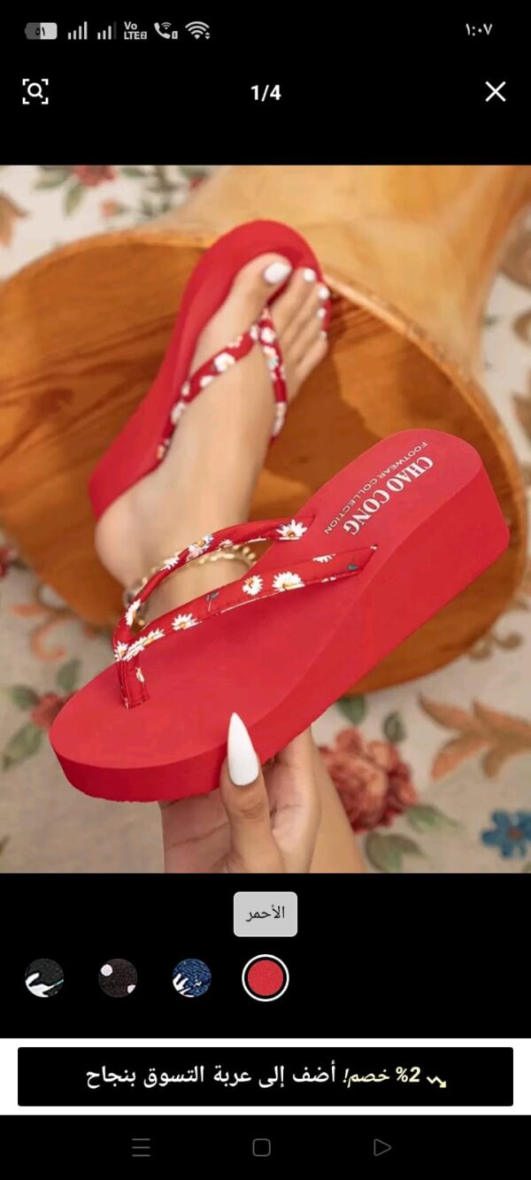 slipper